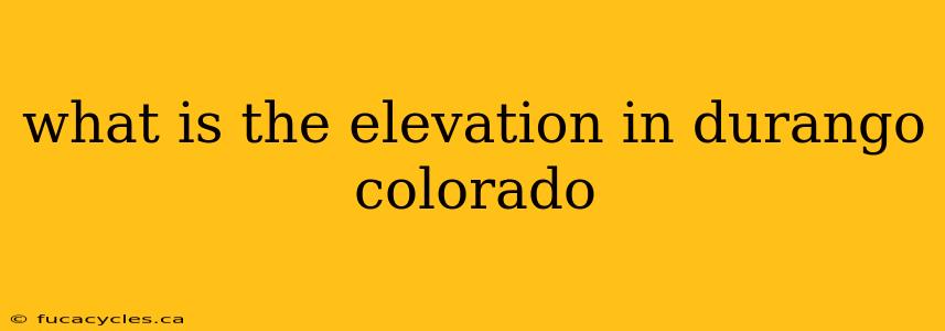 what is the elevation in durango colorado