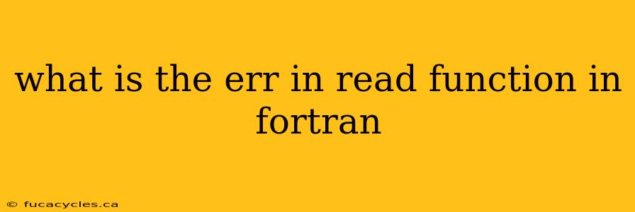 what is the err in read function in fortran