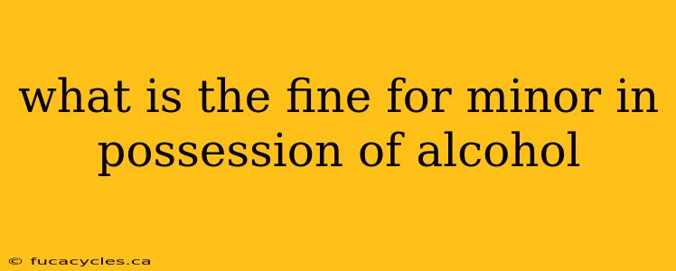 what is the fine for minor in possession of alcohol