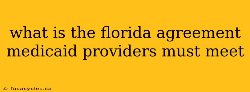 what is the florida agreement medicaid providers must meet