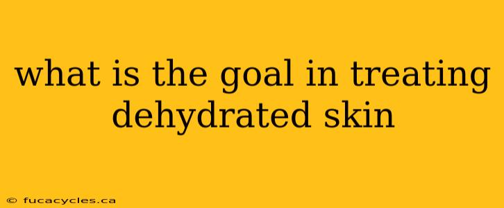 what is the goal in treating dehydrated skin