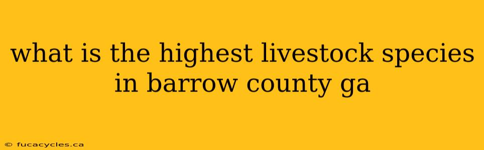 what is the highest livestock species in barrow county ga