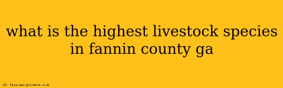 what is the highest livestock species in fannin county ga