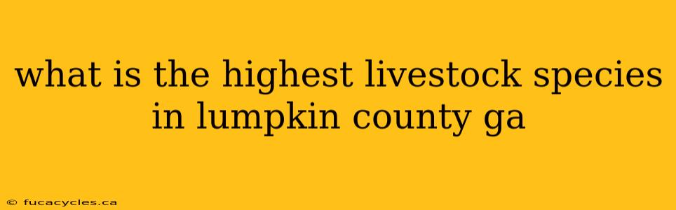 what is the highest livestock species in lumpkin county ga