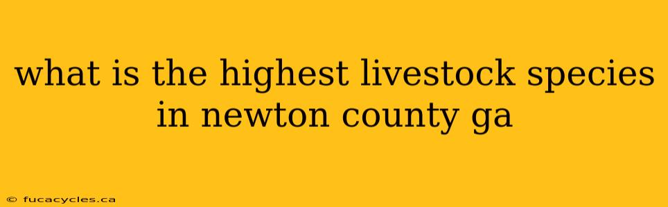 what is the highest livestock species in newton county ga