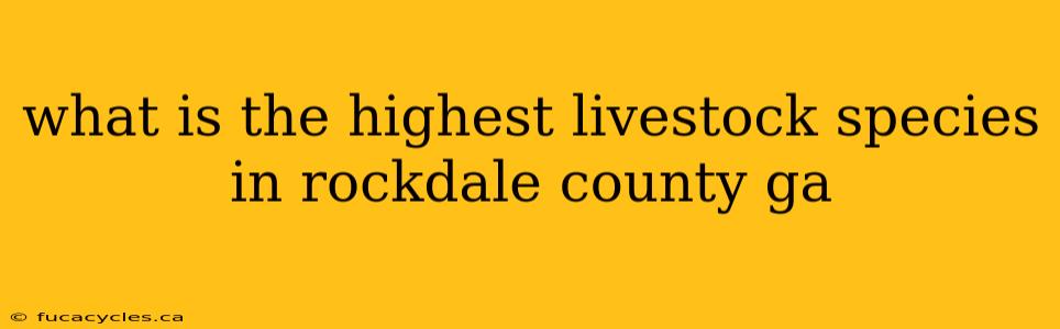 what is the highest livestock species in rockdale county ga