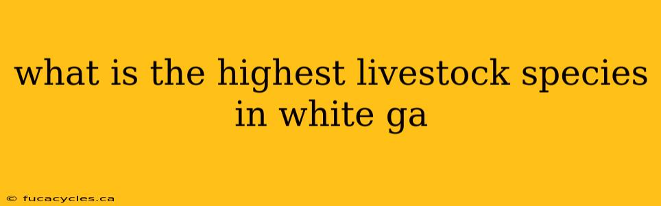 what is the highest livestock species in white ga