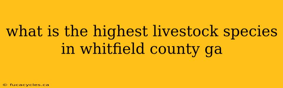 what is the highest livestock species in whitfield county ga