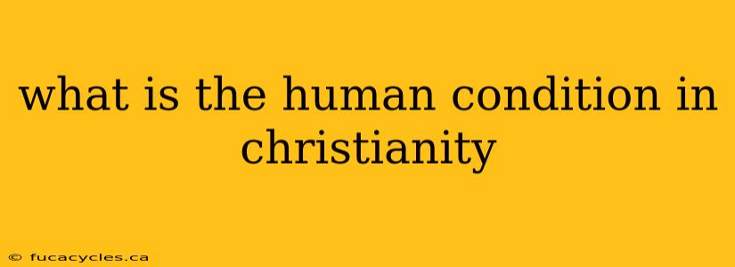 what is the human condition in christianity