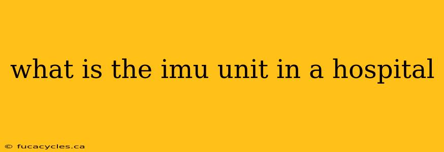 what is the imu unit in a hospital