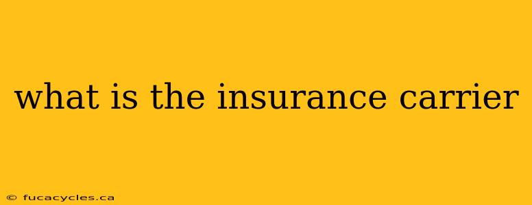 what is the insurance carrier