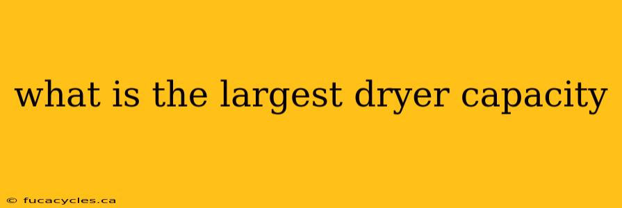 what is the largest dryer capacity