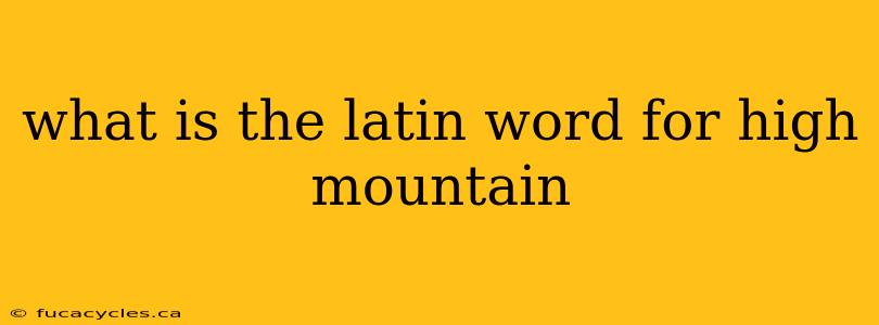 what is the latin word for high mountain