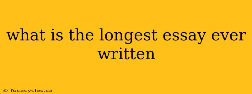 what is the longest essay ever written