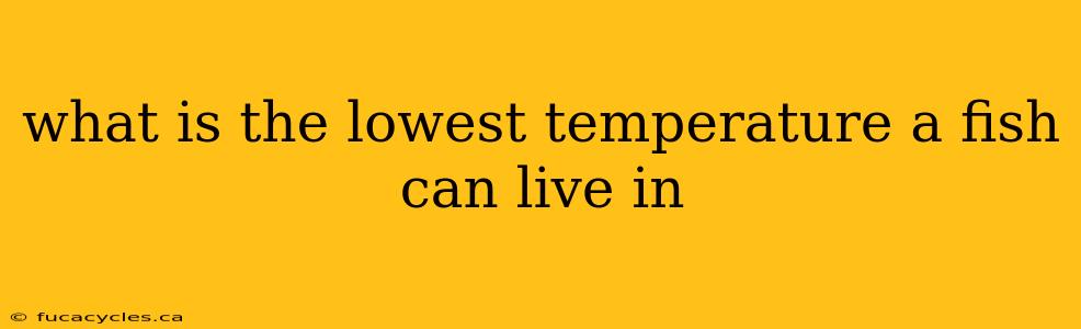 what is the lowest temperature a fish can live in