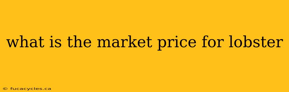 what is the market price for lobster