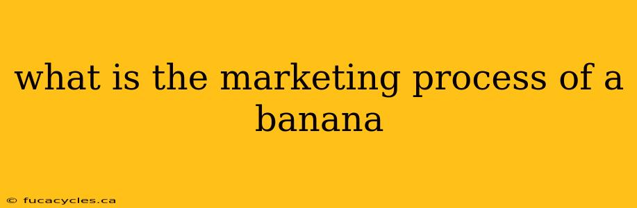 what is the marketing process of a banana