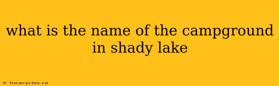 what is the name of the campground in shady lake