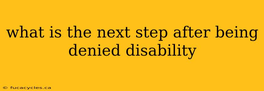 what is the next step after being denied disability