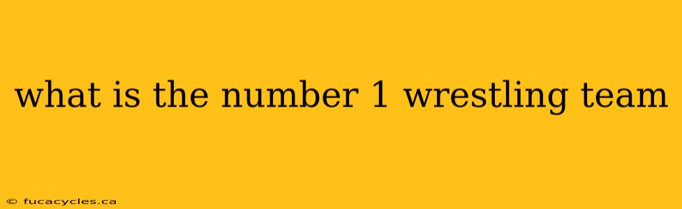 what is the number 1 wrestling team