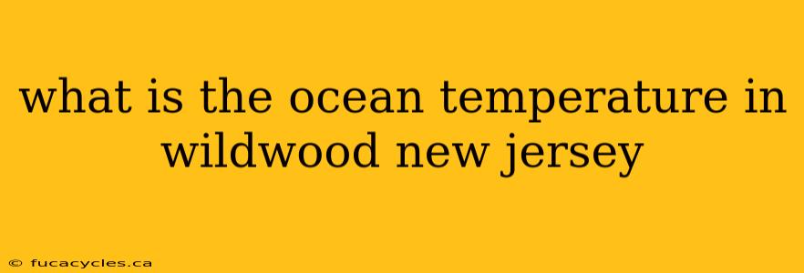 what is the ocean temperature in wildwood new jersey