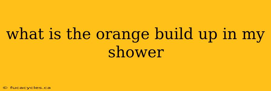 what is the orange build up in my shower