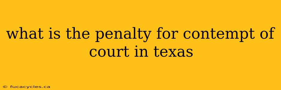 what is the penalty for contempt of court in texas