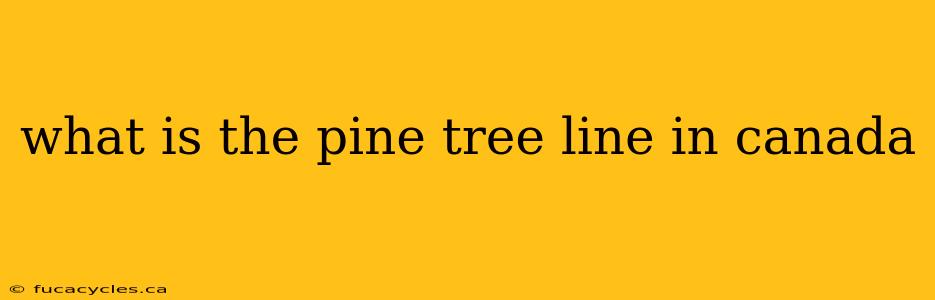 what is the pine tree line in canada