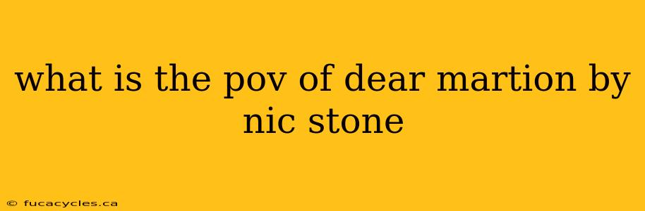 what is the pov of dear martion by nic stone