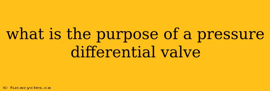 what is the purpose of a pressure differential valve