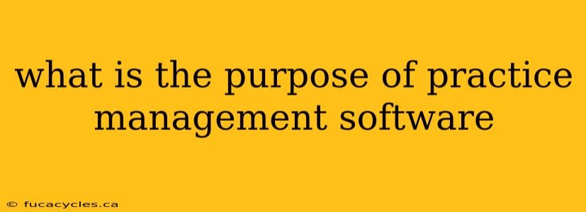 what is the purpose of practice management software