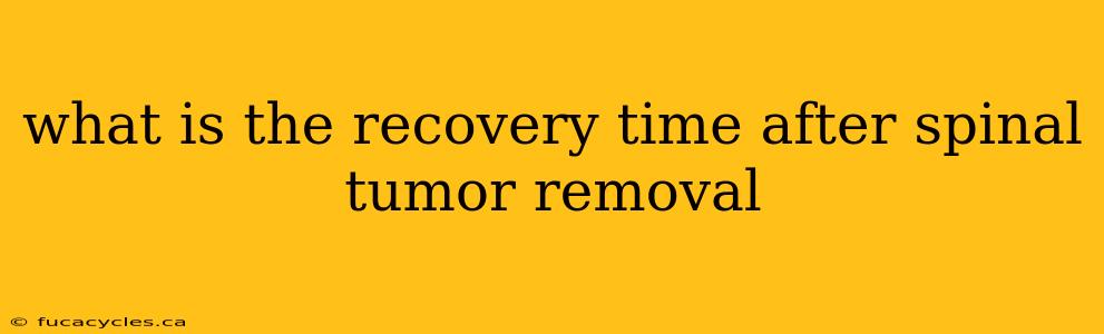 what is the recovery time after spinal tumor removal