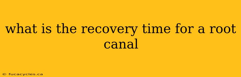 what is the recovery time for a root canal