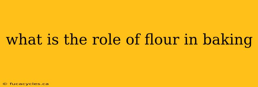 what is the role of flour in baking