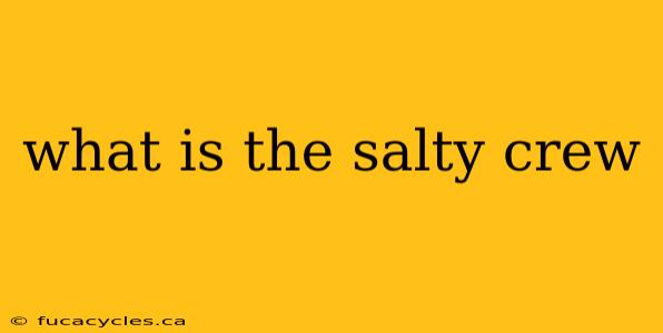 what is the salty crew