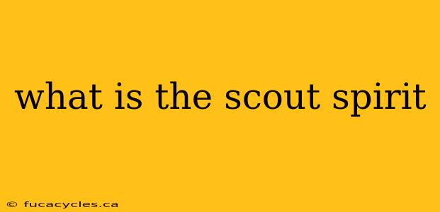 what is the scout spirit