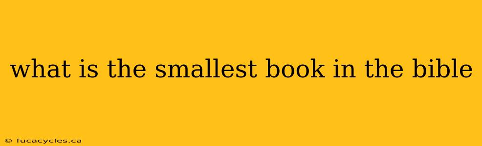 what is the smallest book in the bible