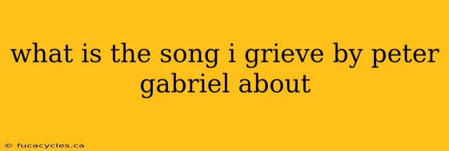 what is the song i grieve by peter gabriel about