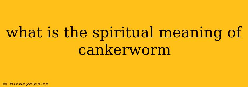 what is the spiritual meaning of cankerworm