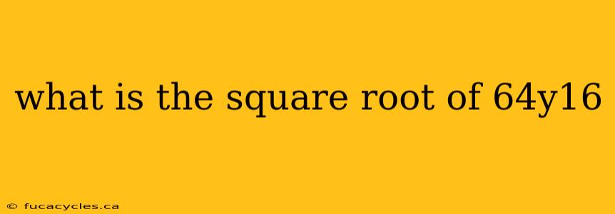 what is the square root of 64y16