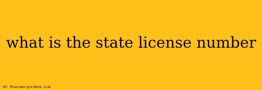 what is the state license number