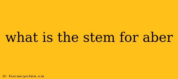 what is the stem for aber