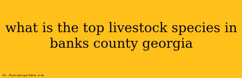 what is the top livestock species in banks county georgia