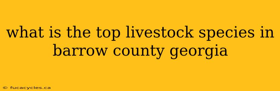 what is the top livestock species in barrow county georgia