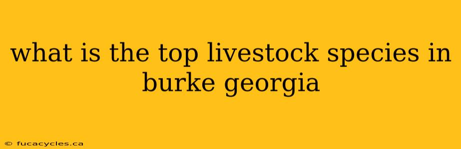 what is the top livestock species in burke georgia