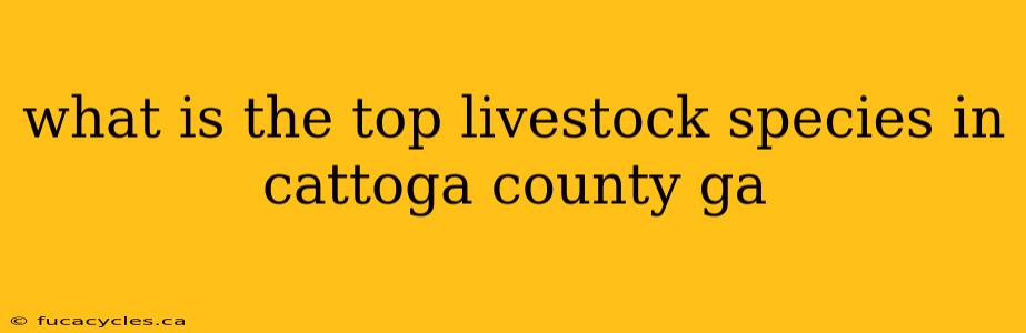 what is the top livestock species in cattoga county ga