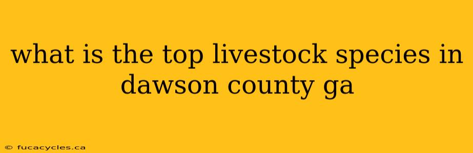 what is the top livestock species in dawson county ga