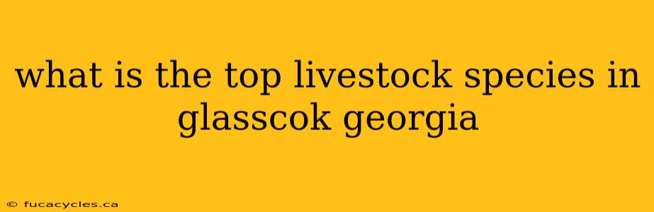 what is the top livestock species in glasscok georgia