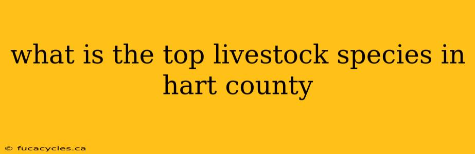 what is the top livestock species in hart county