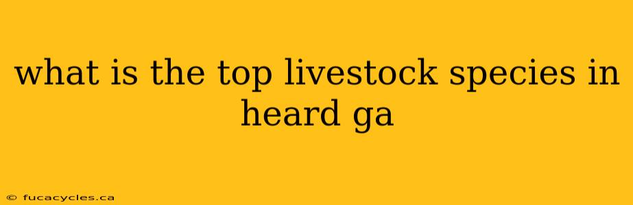 what is the top livestock species in heard ga